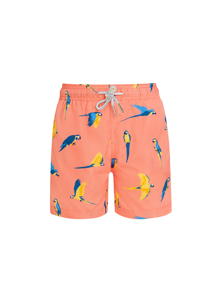 Peach Macaw Baby Swim Shorts
