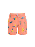 Peach Macaw Baby Swim Shorts