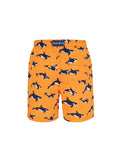 Orange Orca's- Men's Designer Swim Shorts