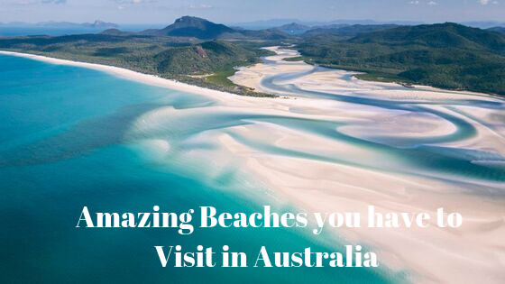 Amazing Beaches you have to Visit in Australia