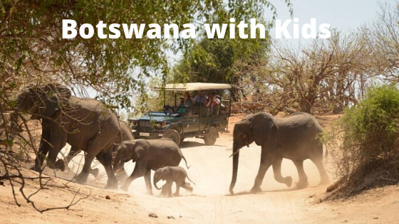 Botswana with Kids