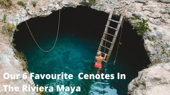 Our 6 Favourite Cenotes In The Riviera Maya
