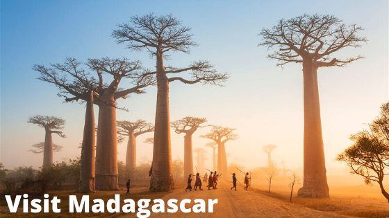Visit Madagascar