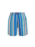 Mixed Summer Stripe Men's Swim Shorts