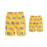 Yellow Springbok Swim Shorts Bundle