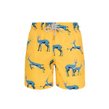 Yellow Springbok- Baby Swim Shorts