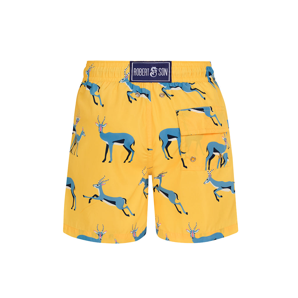 Yellow Springbok- Boys Swim Shorts