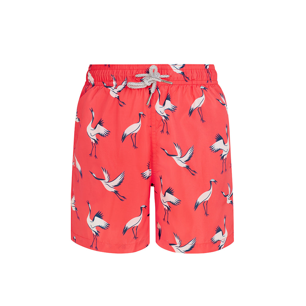 Coral Crane- Boys Swim Shorts