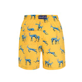 Yellow Springbok - Men's Swim Shorts